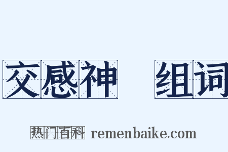 交感神經组词是什么意思的图片